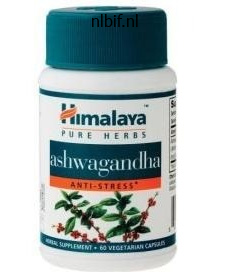 buy ashwagandha 60 caps without a prescription