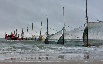 Visdiversiteit en vangstaantallen van 1960 – heden op de drempel tussen Noordzee en Waddenzee