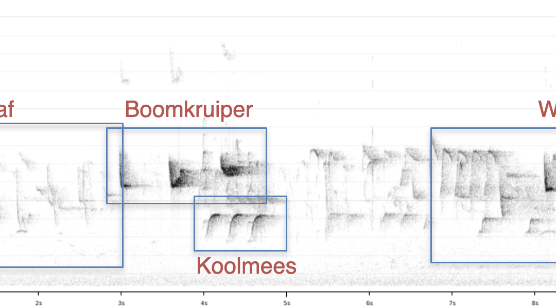 “Exposing the hidden details of soundscapes” for Xeno-canto sound recordings and GBIF