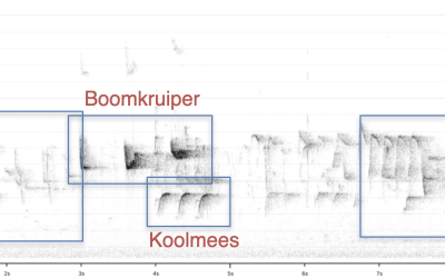 “Exposing the hidden details of soundscapes” for Xeno-canto sound recordings and GBIF